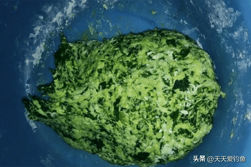 野钓大草鱼,自制饵料通杀湖库,经常连竿到手酸_红薯_阶段_效果