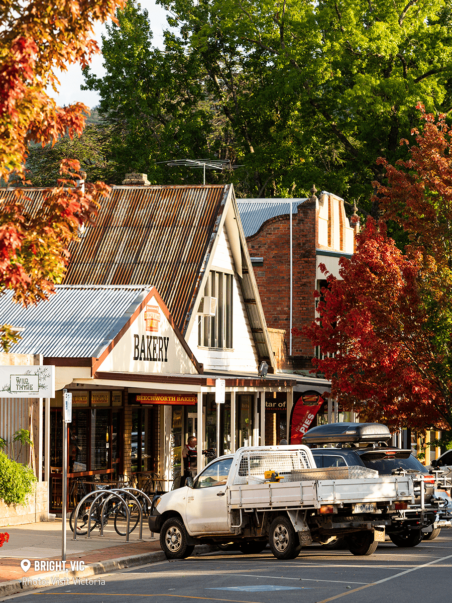 这座位于维州高山地区的小镇,一到秋天简直美翻了!