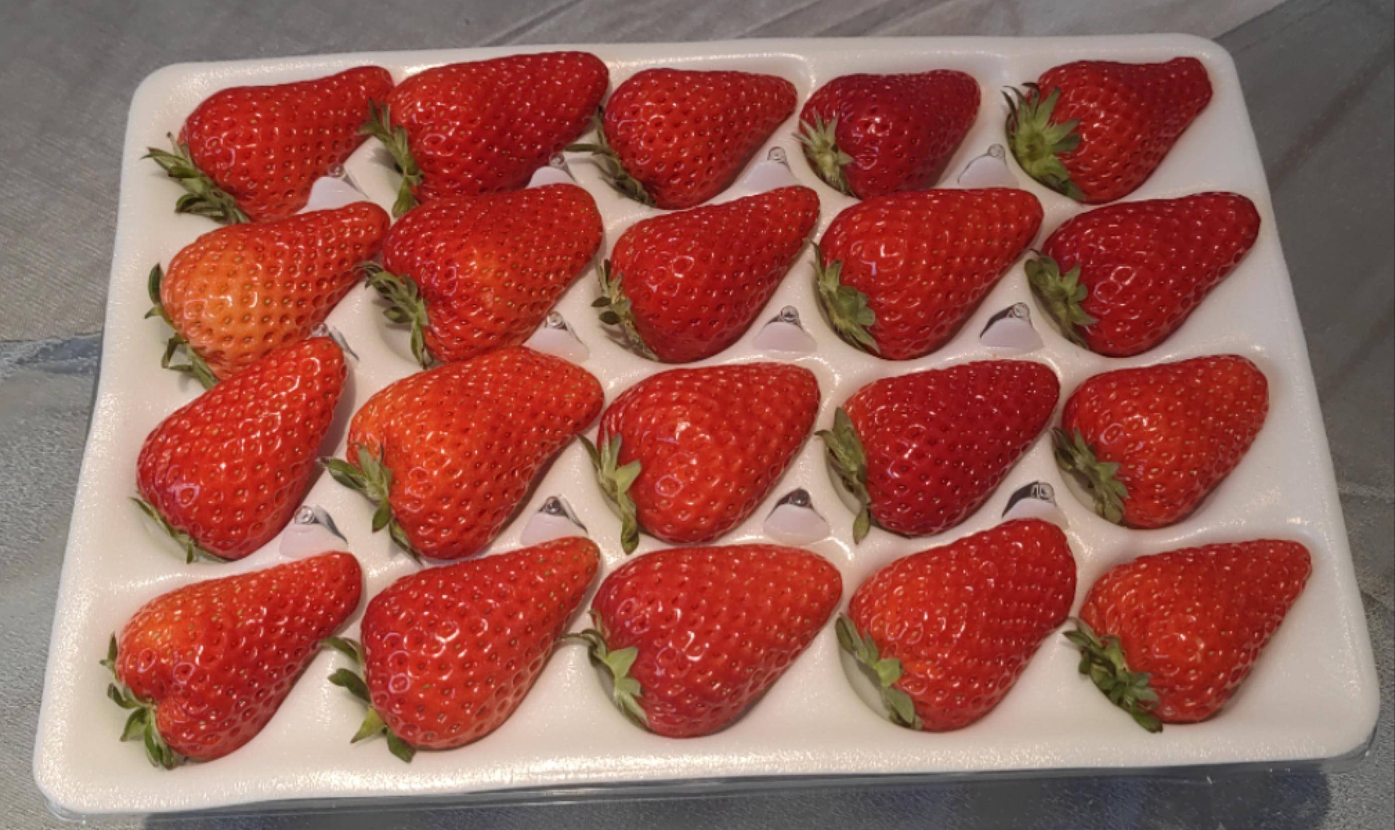 中莓香玉100万元嫁山东 郑果所完成第一例草莓新品种权使用权区域