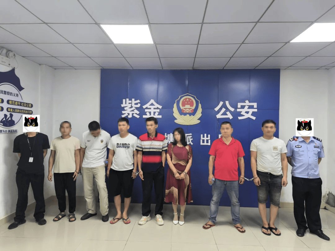 紫金县_举报_九和镇