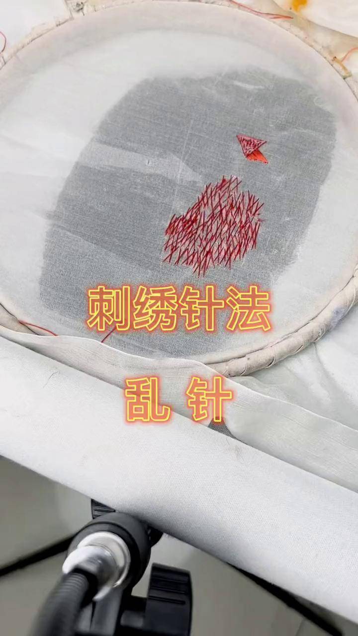 快来练习打卡吧～乱针绣 苏绣 手工 dou 小助手