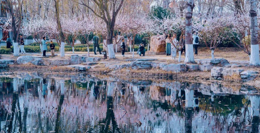 推荐理由:··02北宁公园宁静的夏日,来新开湖边小憩闲坐.