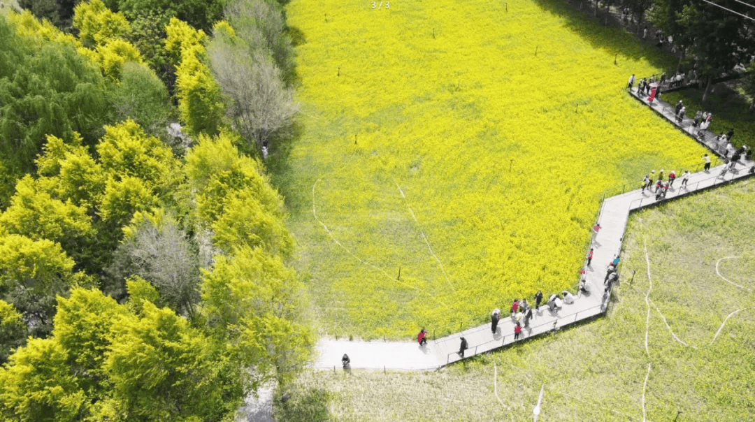 沈阳蒲河花海公园门票图片