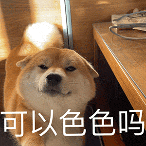 污污的表情包:脑子里净装这个了!
