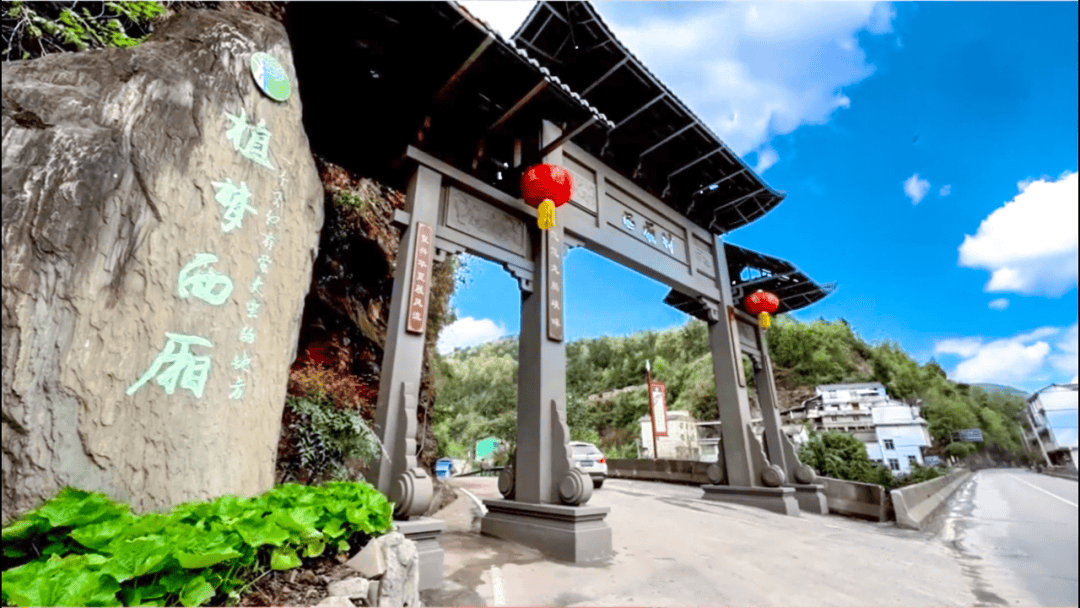 巴中 · 植梦西厢旅游景区5月19日,巴中市南江县云顶茶乡景区免门票