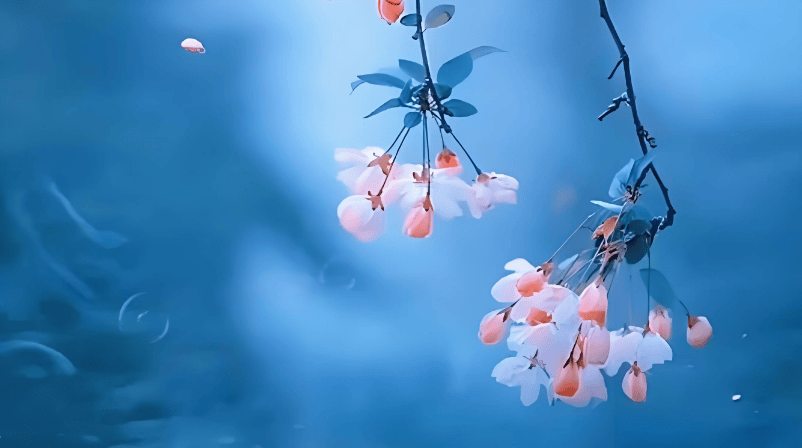 红尘相思,情深缘浅