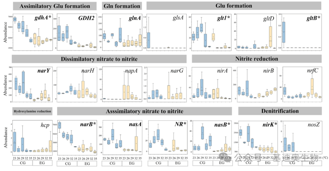 当微生物群落数据遇到元素循环分析