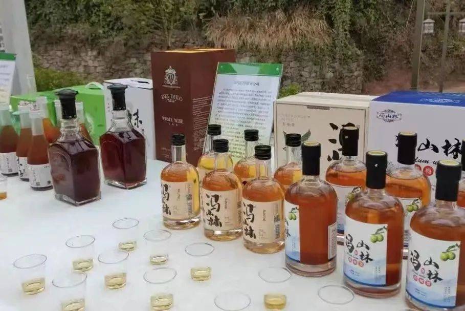 种植_梅山_梅子