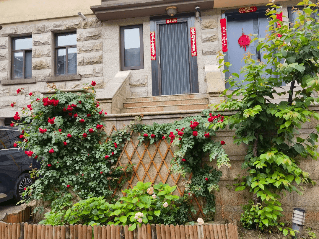 仪征这些小区突然就火了._花海_花园_市民