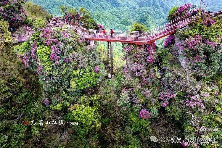 汉中人周末游玩去这里