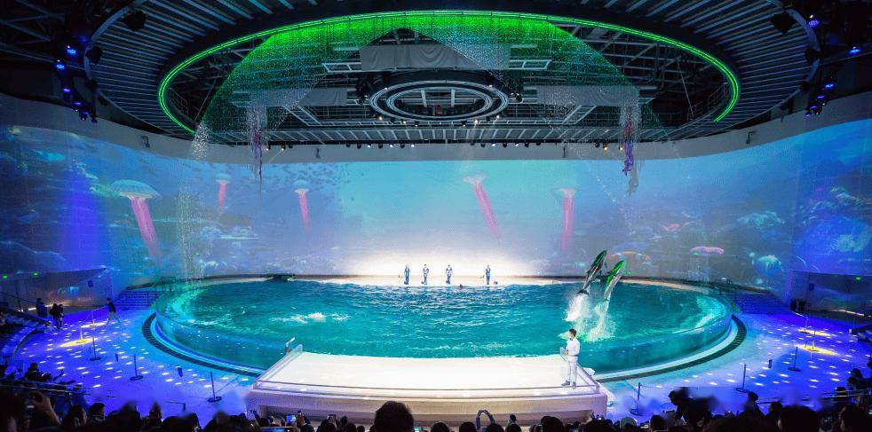 【上海海昌海洋公园官方度假酒店】999元起开启海洋治愈系亲子度假!
