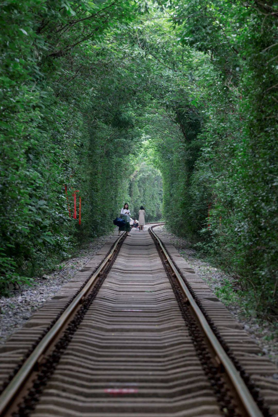 岁月悠悠,时光流转,大千世界里的芸芸众生,每个人都在前行的路上,没有
