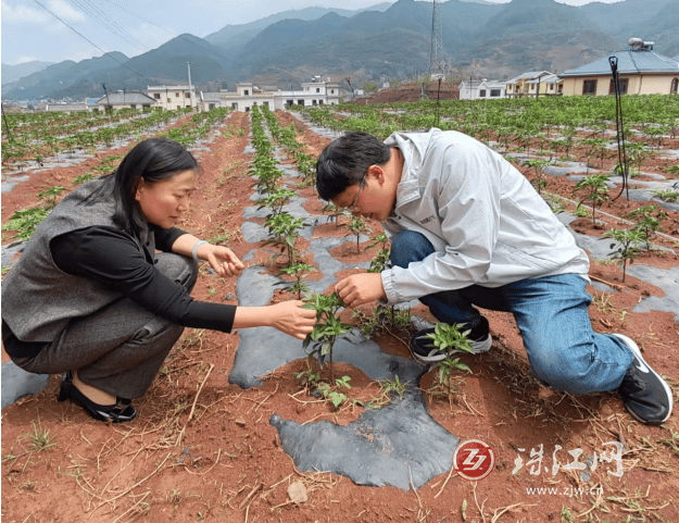 济阳金融卡函项目部的简单介绍 济阳金融卡函项目部的简单

先容
 金融知识