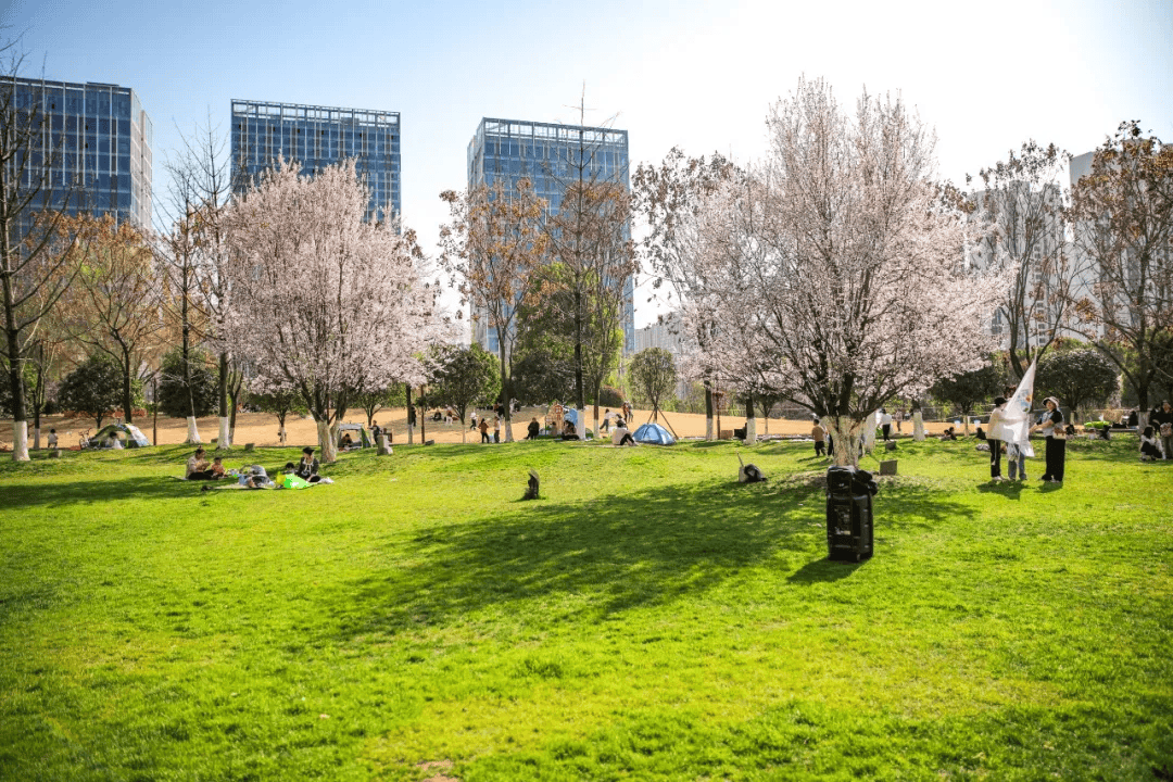 在安康高新区开启休闲时光!