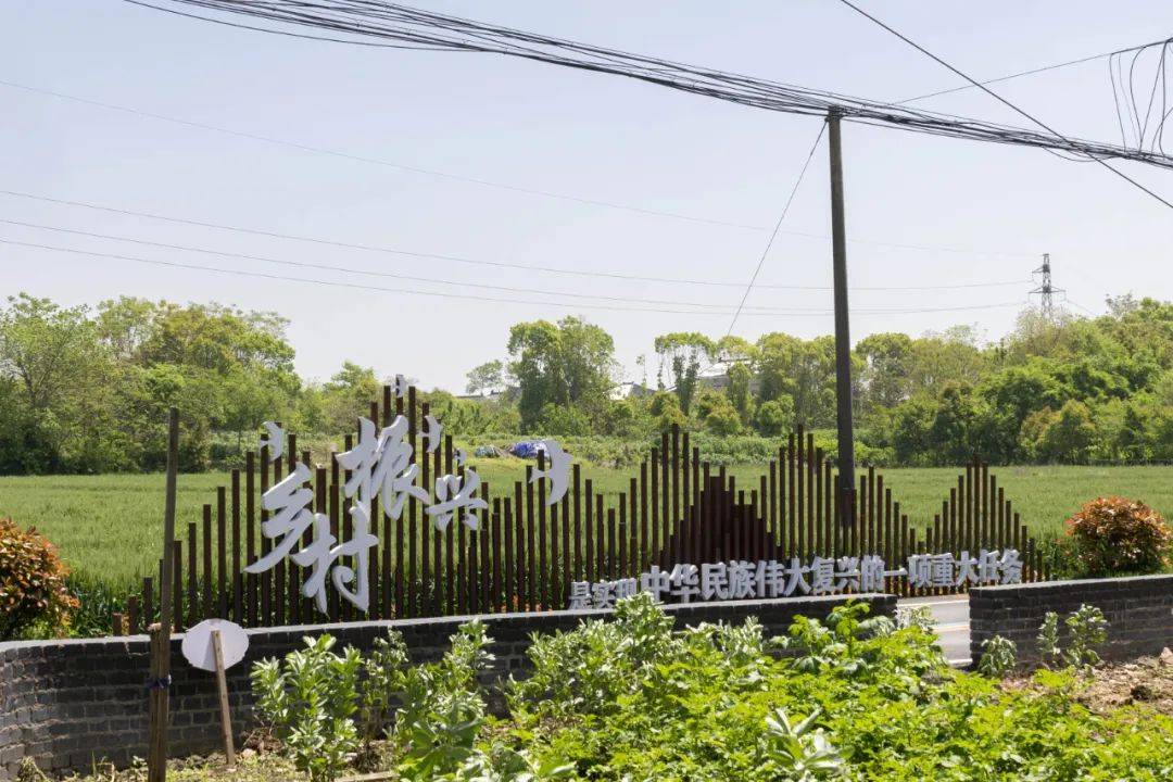 平介设计 | "五美三优"行动:苏州市震泽镇乡村景观改造_王尚_村庄