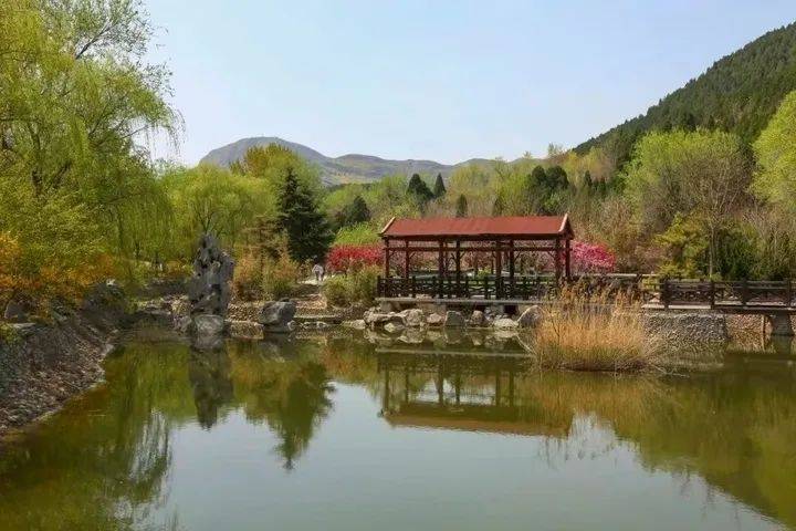 半价!济南23家景区传来好消息_优惠_门票_原价