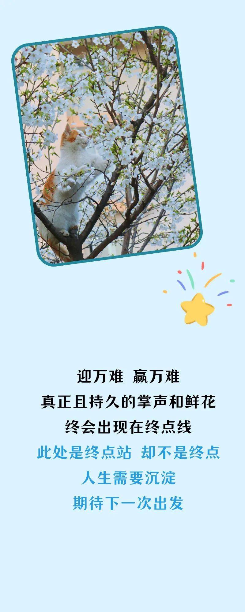 许欣格_图片_指导老师