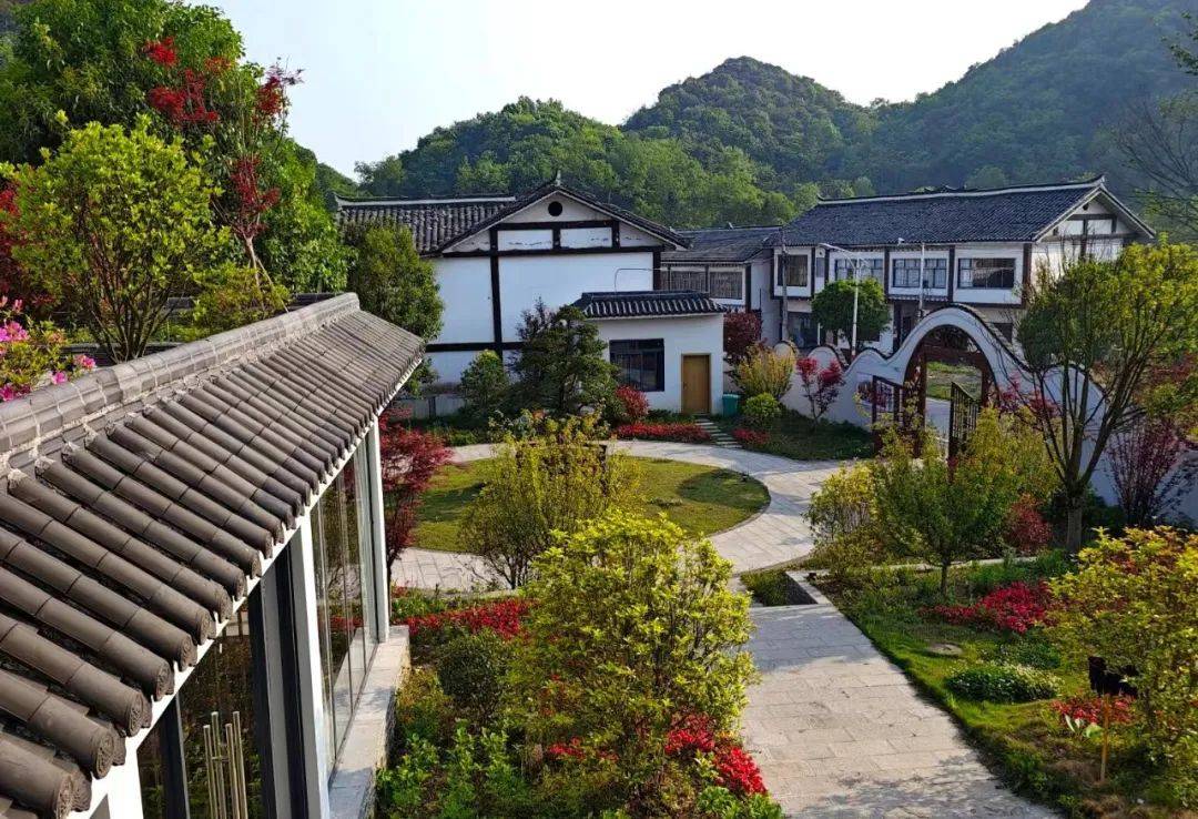 才过春观花 又迎夏避暑——百里杜鹃全时全域旅游有序运行