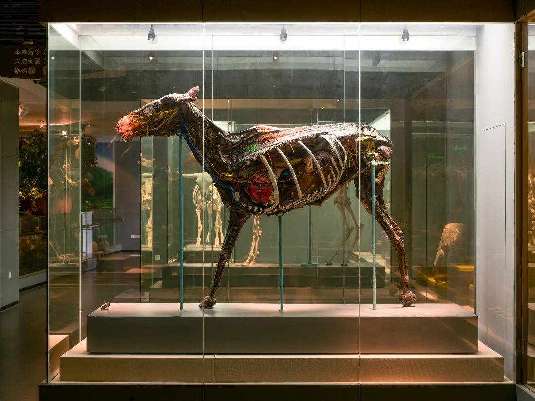 近30万件"宝藏"!快来打卡华中农大这块宝地