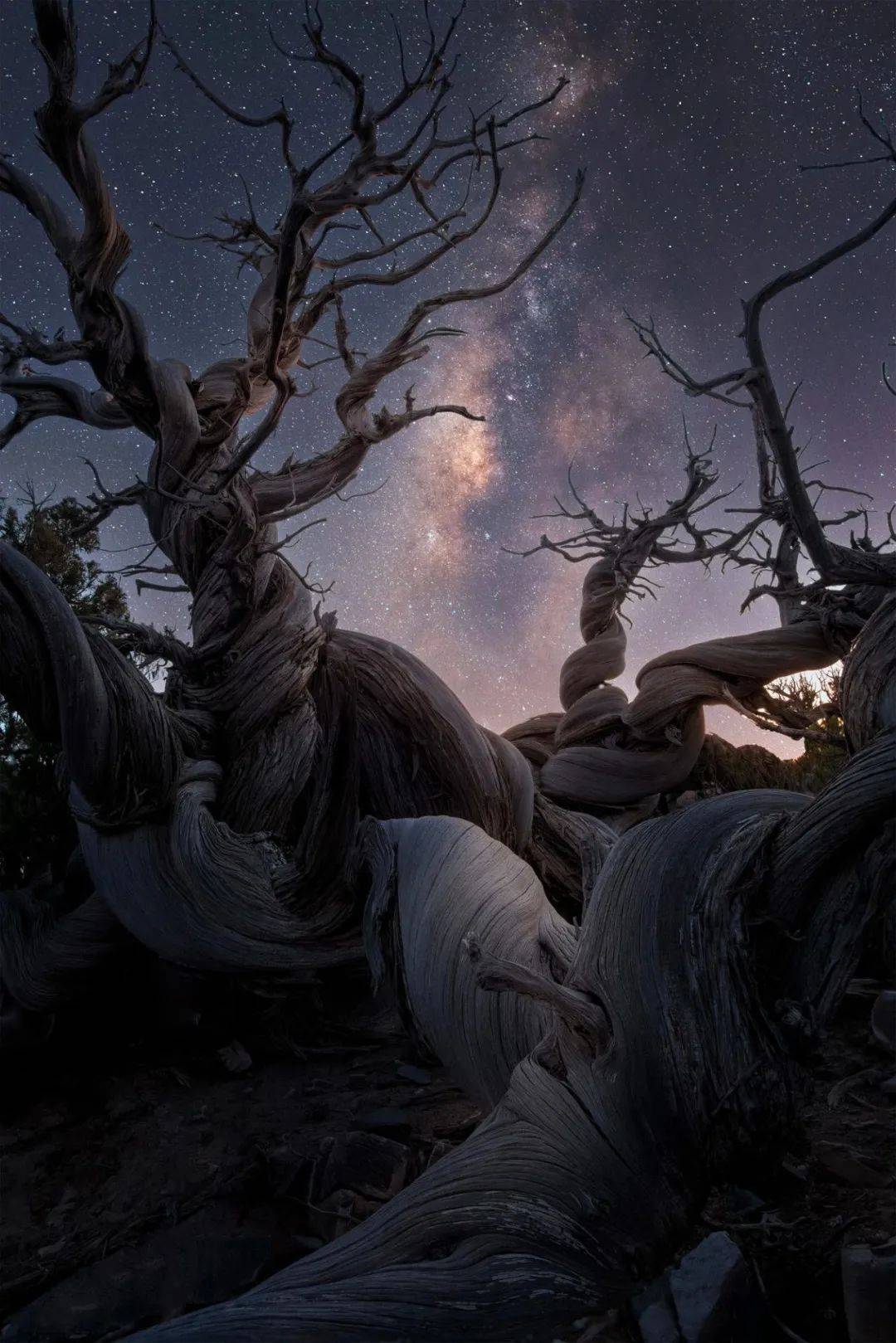 地点:加拿大温哥华西摩山《拉特雷》(rattray),由 jana hoffmann 摄影