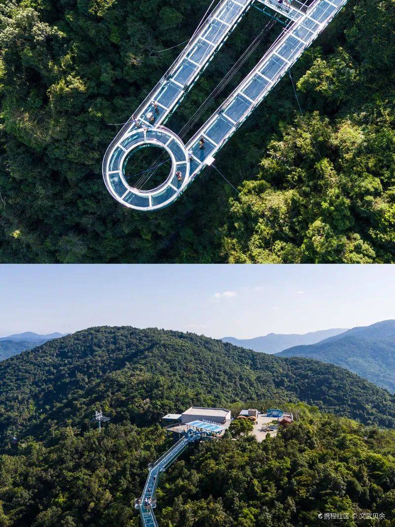 倒计时1天 | "清凉雨林 惠玩保亭"旅游消费券即将上线,这个夏天,与