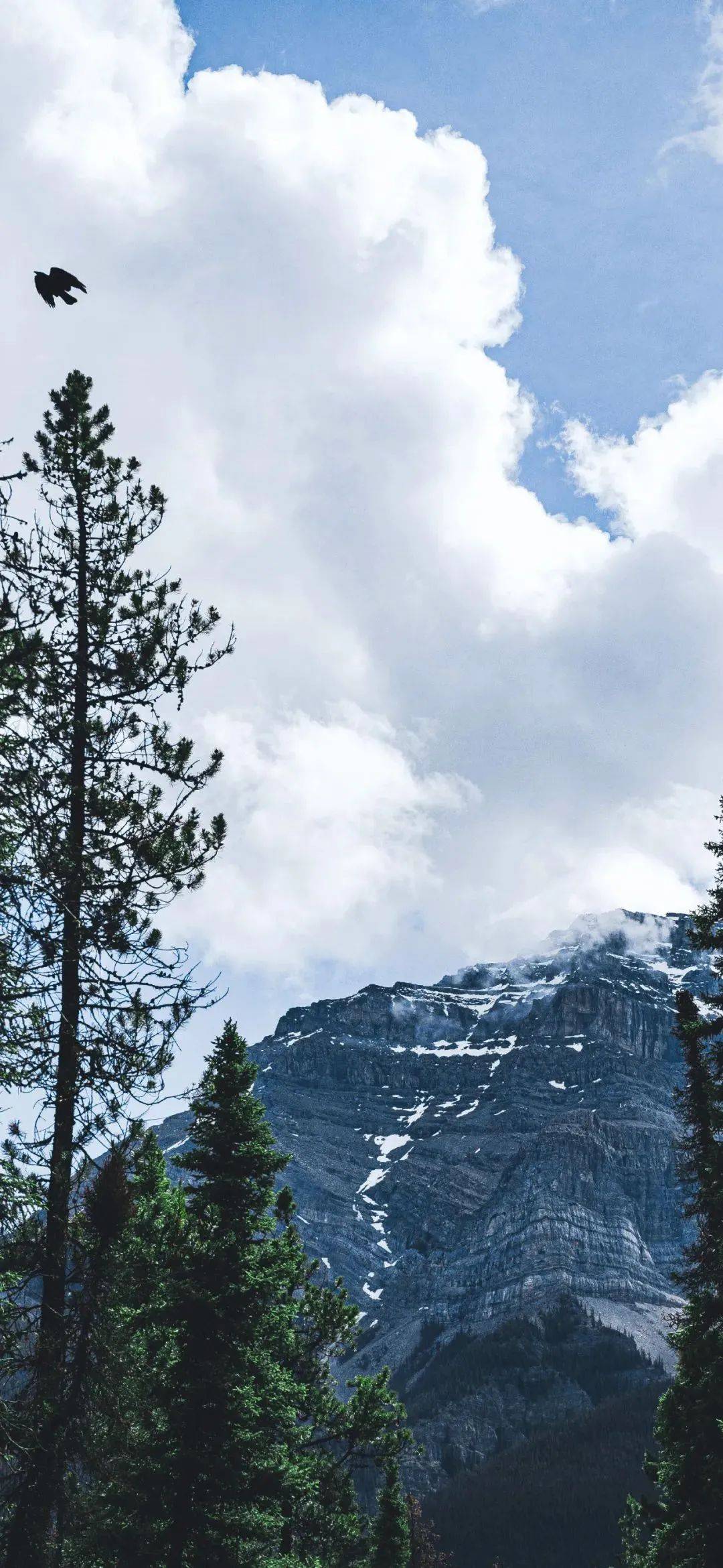 风景壁纸20240518