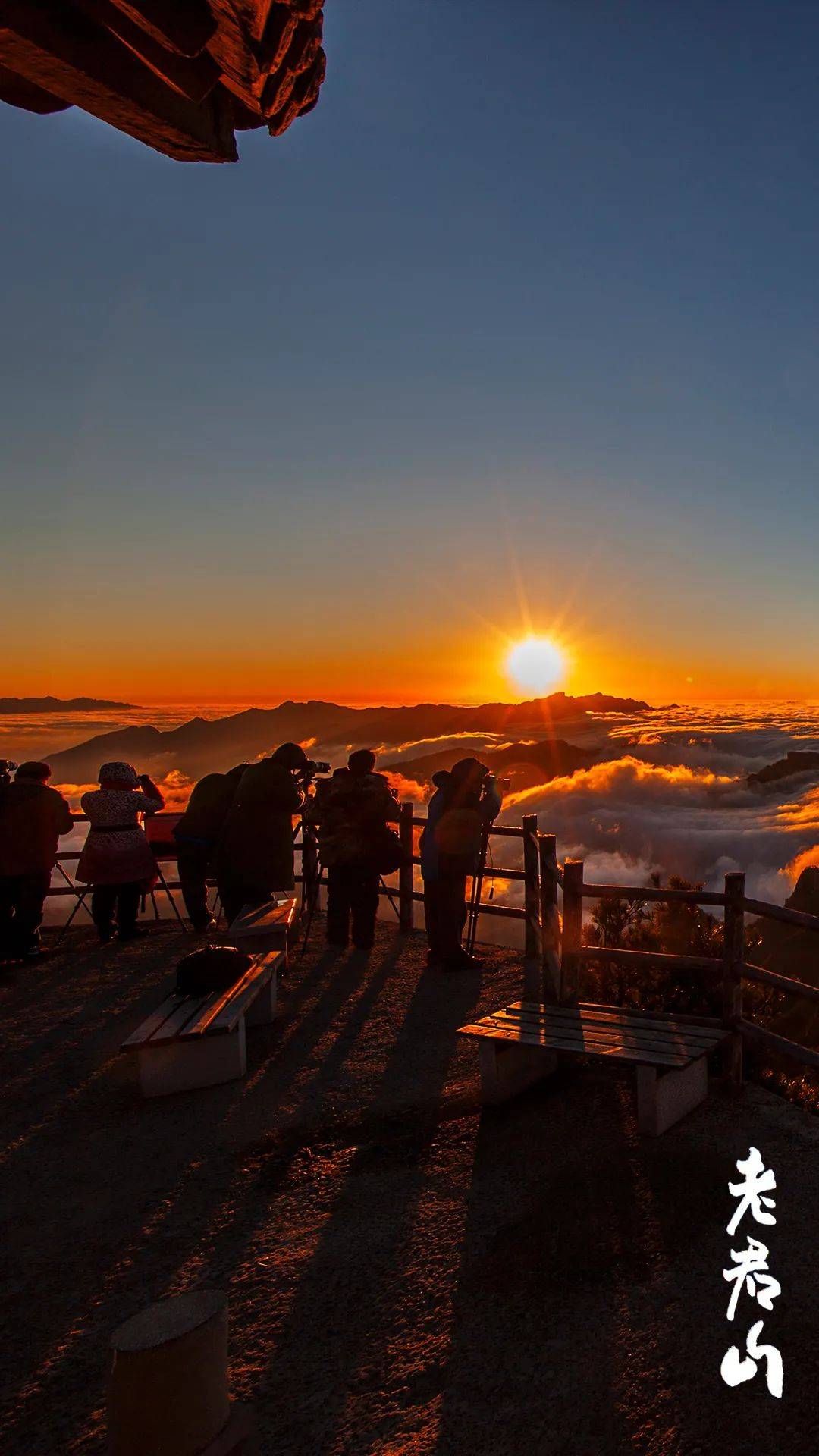 茅盾文学奖获得者——乔叶笔下的老君山有多美_玉兰_索道_栾川