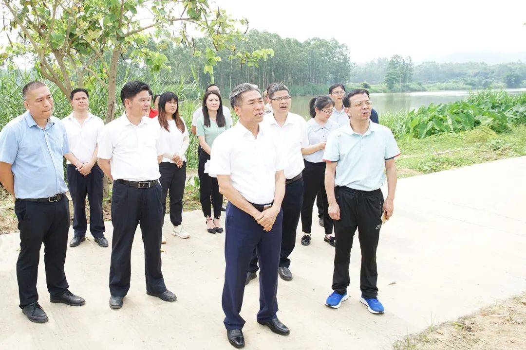 云浮市人大常委会到罗定市开展《云浮市排水与污水处理条例(草案)》