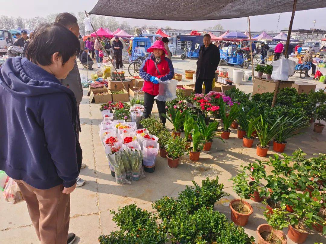跟着张颂文逛顺义大集,走起!