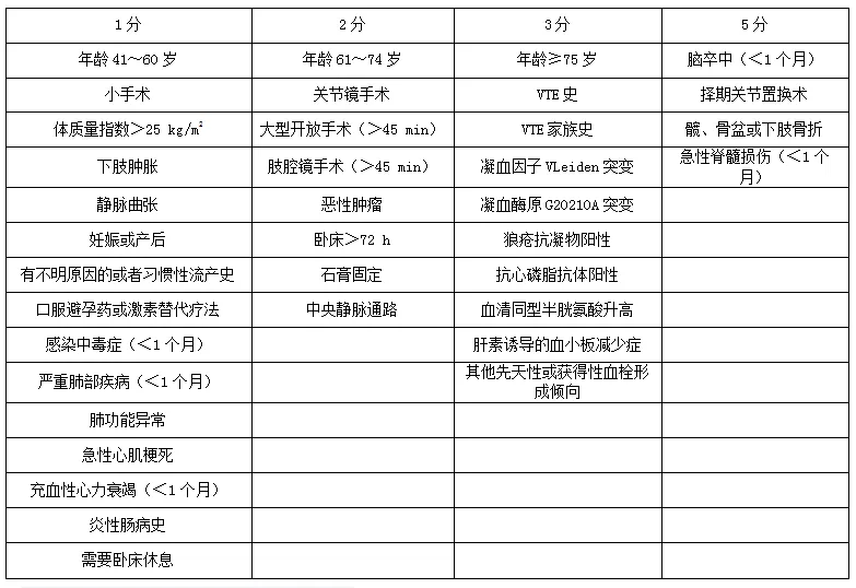 下肢深静脉血栓评分表图片