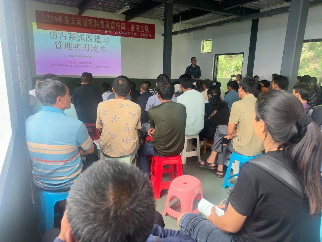 【乡村振兴】凤山镇举行茶叶技能培训 助力乡村产业振兴
