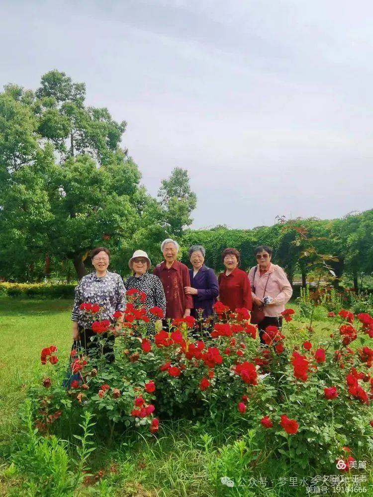 相识六十载,再聚情愈坚:原孝感师范64(5)班同学蔡甸聚会