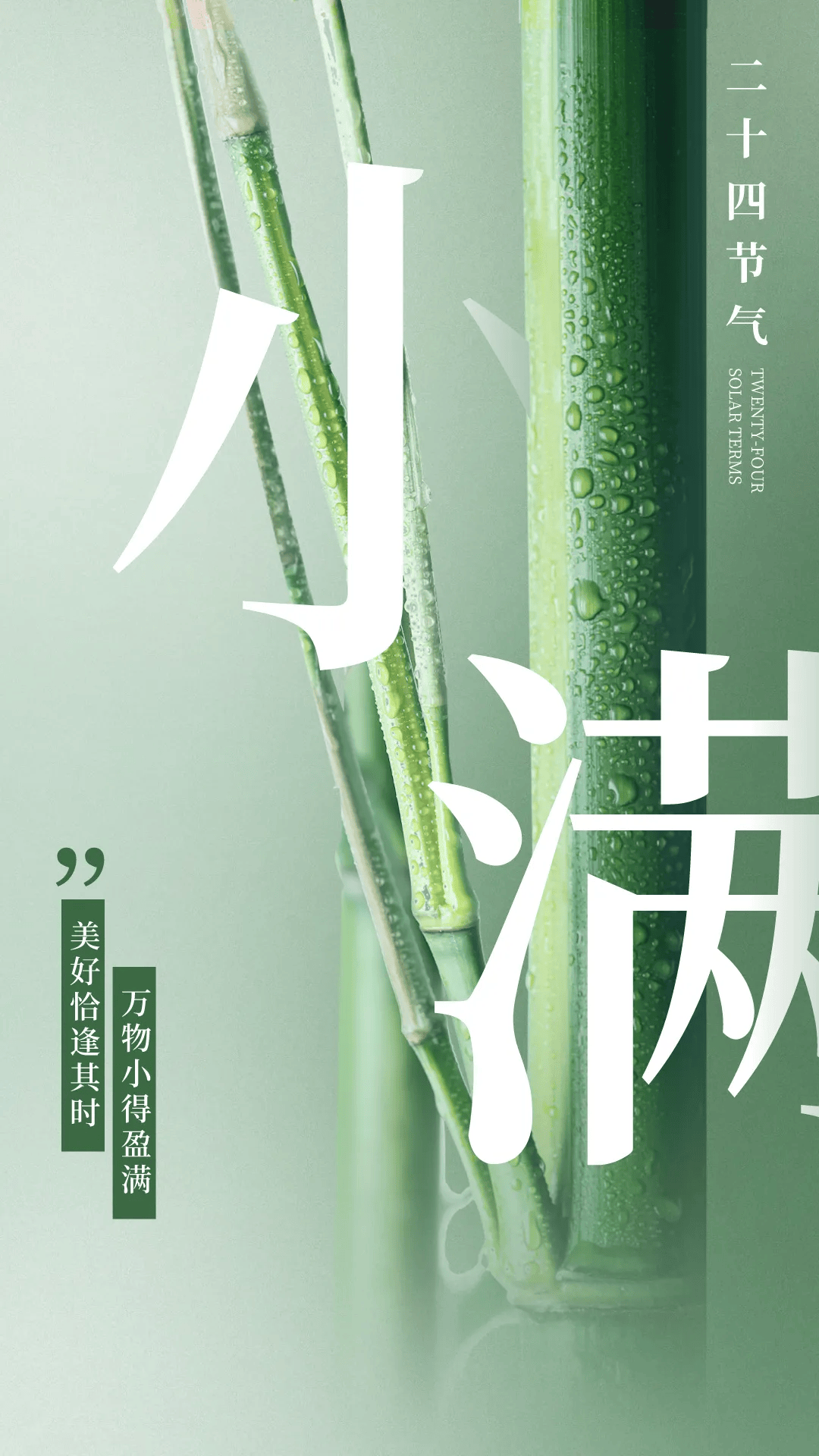 小满节气文案海报|小满初盈 静待丰收