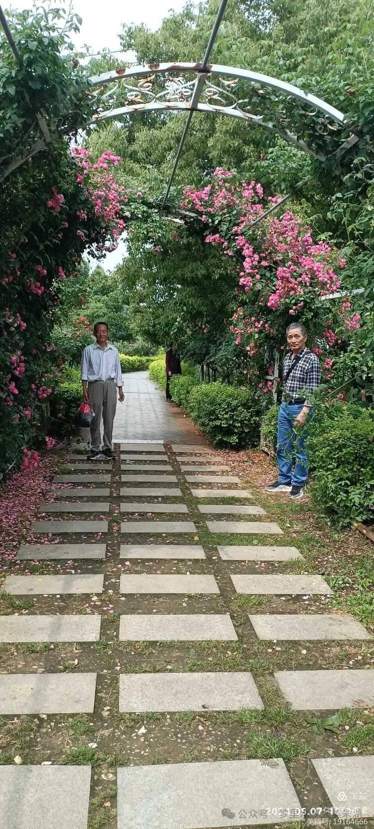 相识六十载,再聚情愈坚:原孝感师范64(5)班同学蔡甸聚会