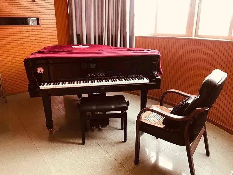 中考资讯 | 禅城实验高级中学2024年音乐特长生招生预通知_禅城区_佛