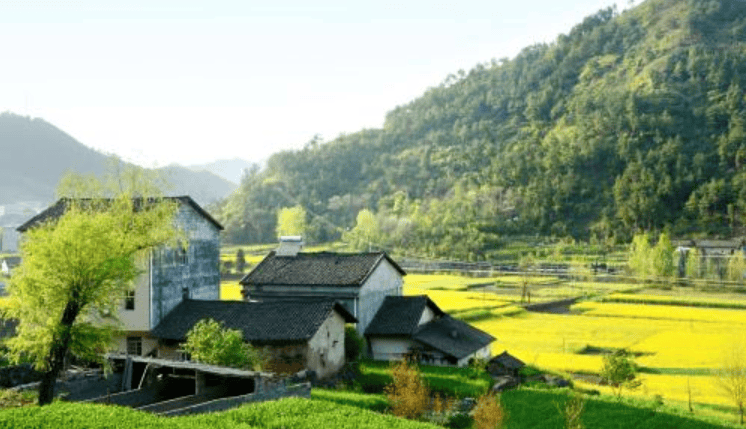 自然分户有什么规定?