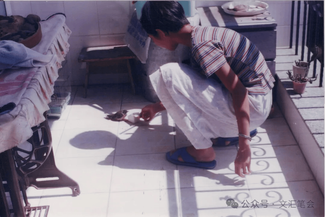 春去白头鸣 | 林语尘