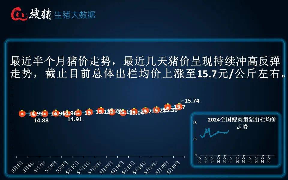 生猪现货日报|全国均价15.