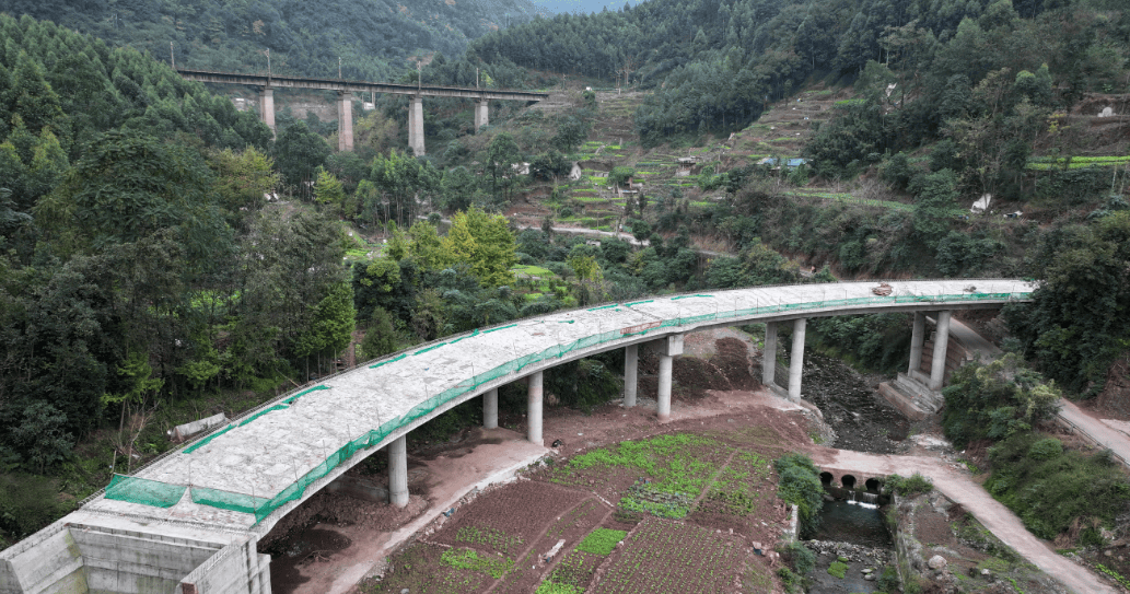 区长汪秀丽调研督导重点交通项目建设_沙湾区_过境_改建工程