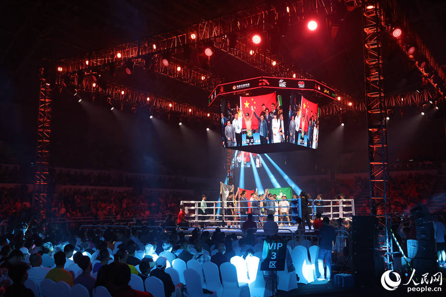 中国拳手夺得3条金腰带 2024wbc/wbo职业拳王争霸赛在厦门集美精彩
