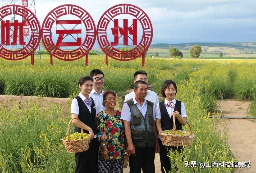 83亿!大同"小黄花"已成百姓"大产业"