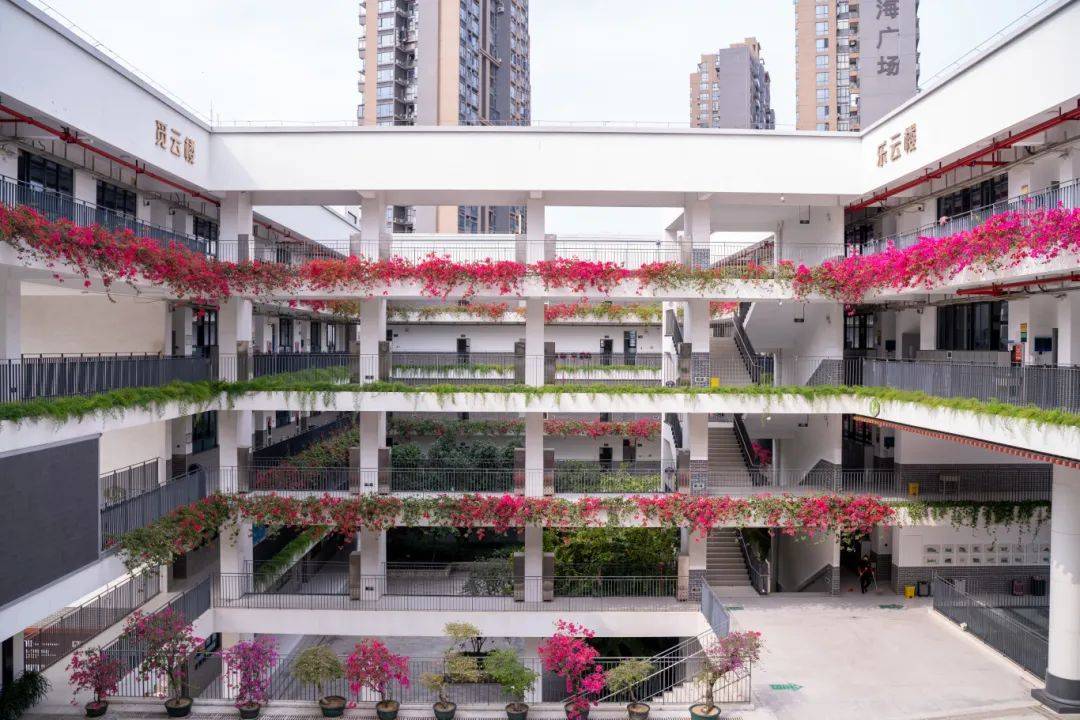 这项成绩，全市第四！这所大学附中将有新面貌！稳居深圳名校第一方阵背后……