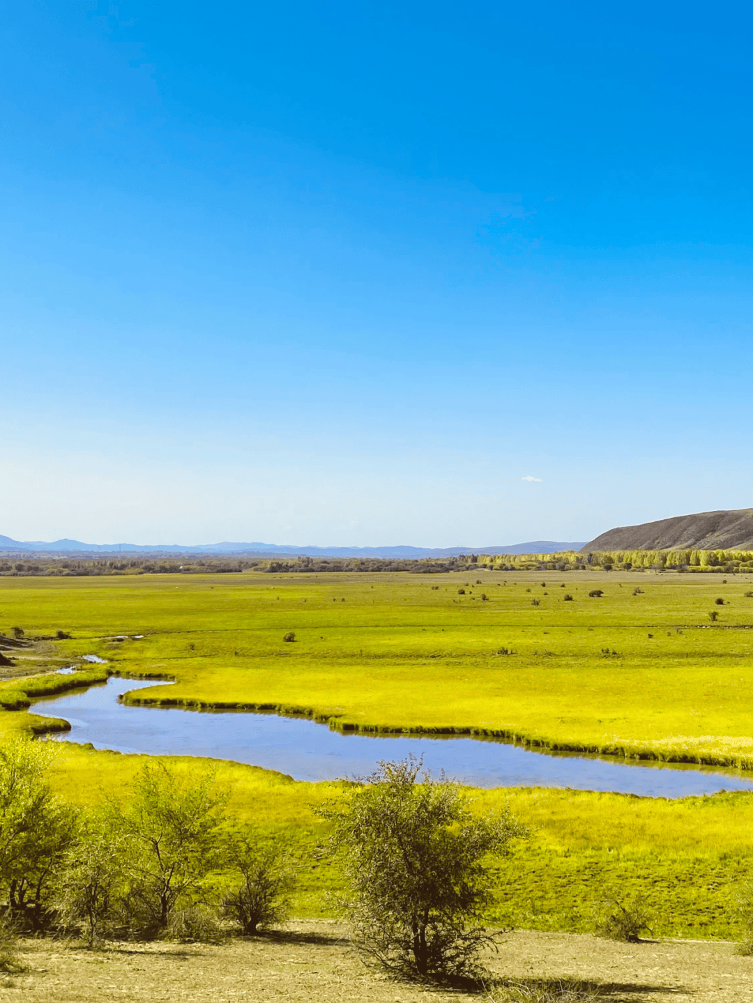皇家猎苑61乌兰布统 ,心的归处!奔赴辽阔与星河,撒欢放松过夏天