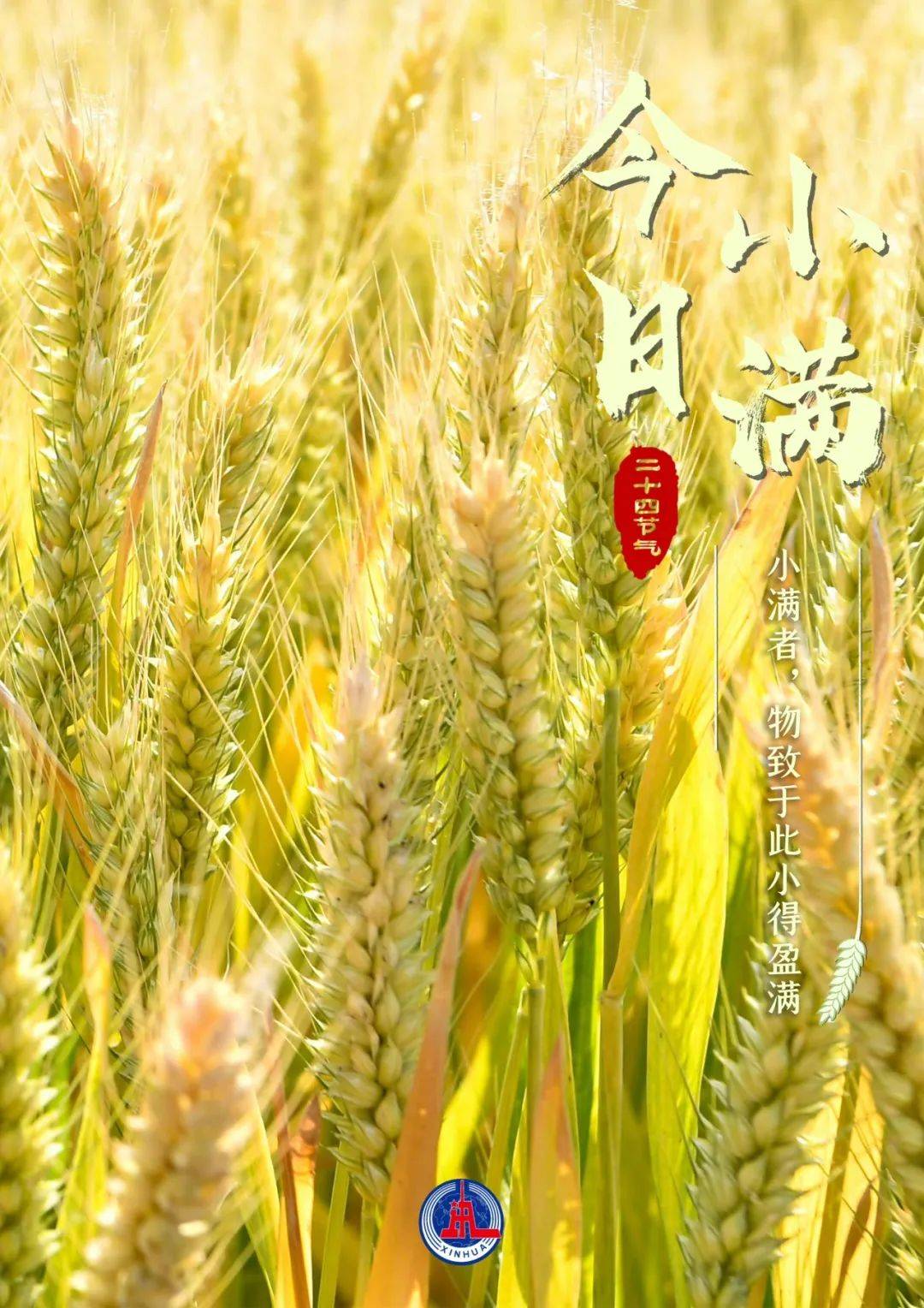 于每年公历gregorian calendar5月20