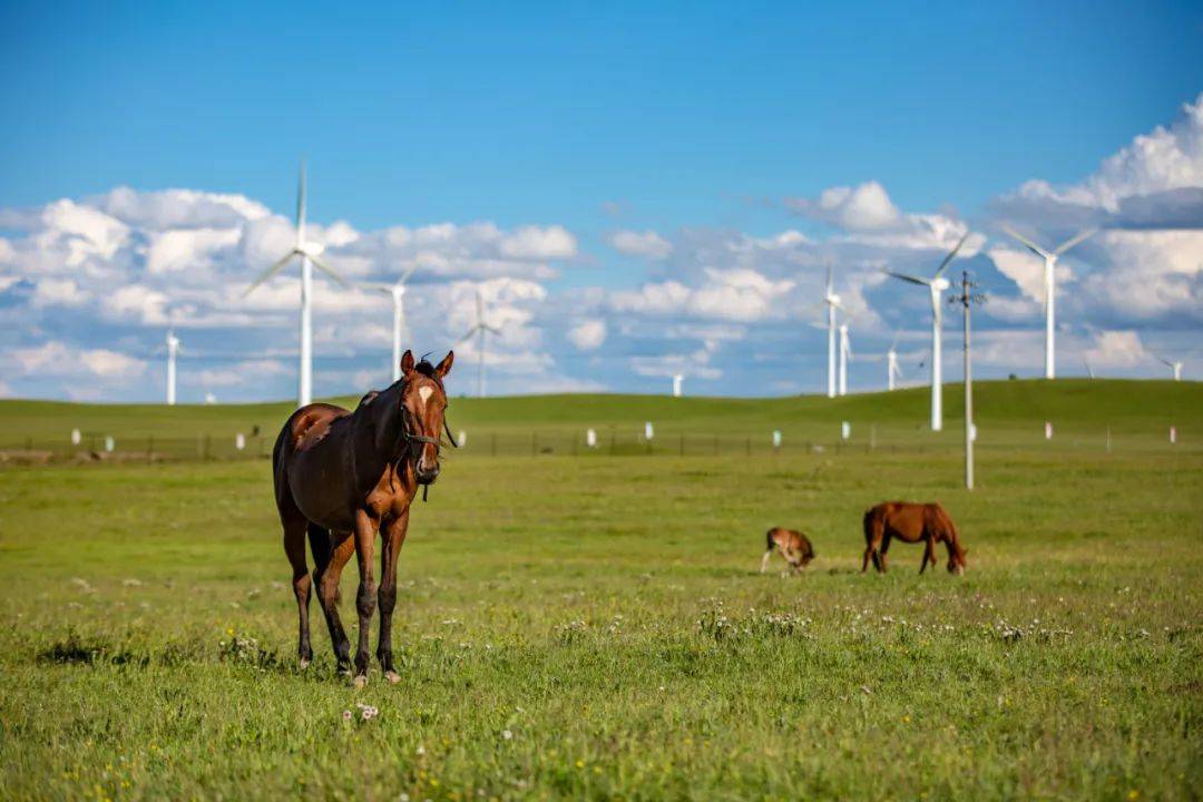 给人心旷神怡的宁静感皇家猎苑61乌兰布统这里有浩瀚的草原,连绵的