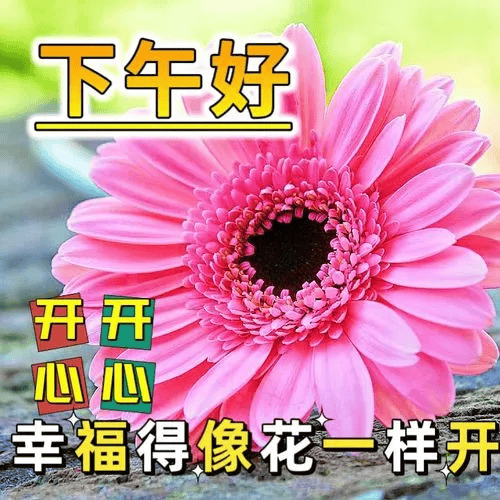 祝您生活愉快表情包图片