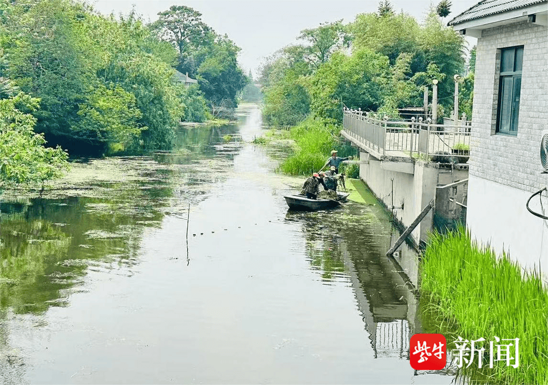南通通州刘桥镇:"善治" "巧治"不断提升生态水环境质量
