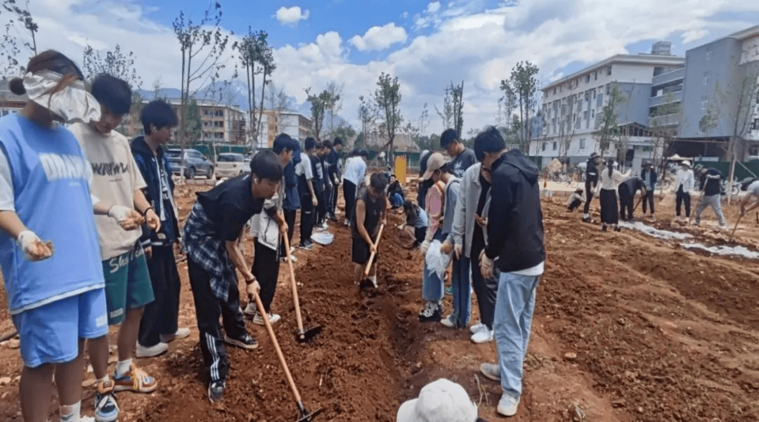 在劳动指导教师的指导下,师生们纷纷起拿起锄头,钉耙,铁锹,撮箕等劳动
