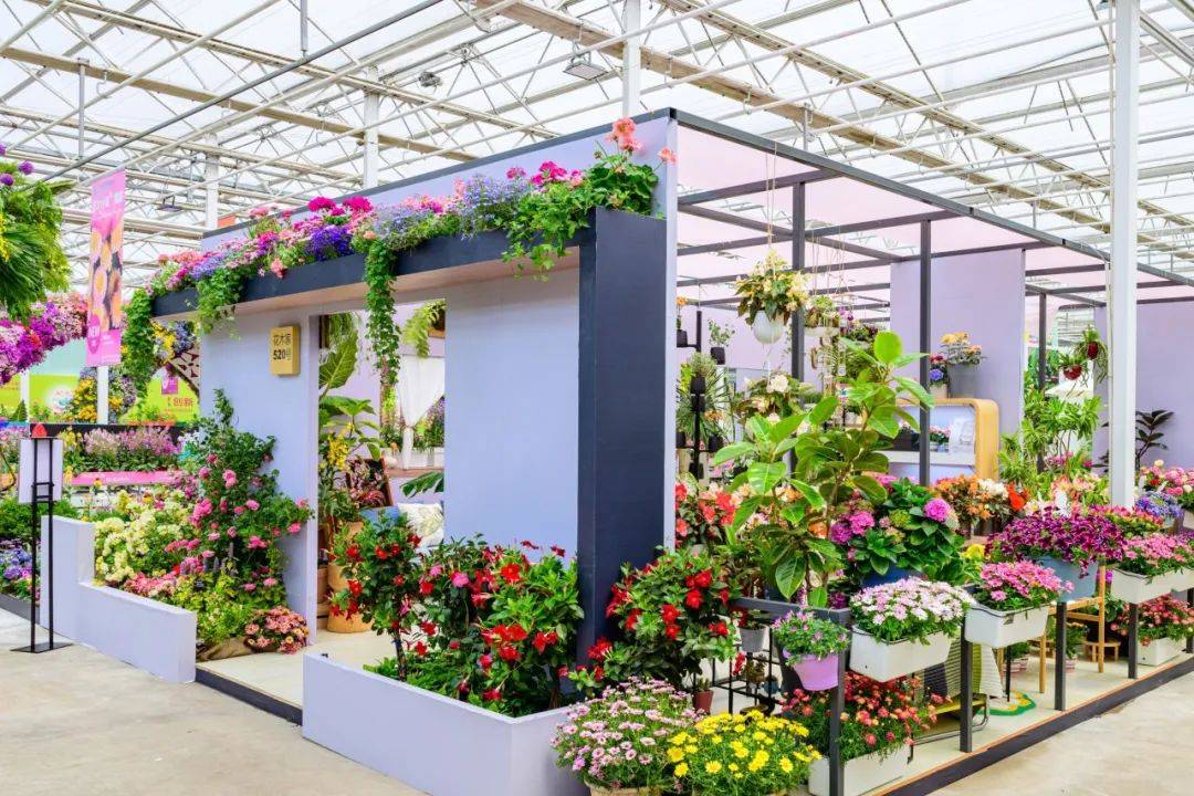 "花开北京"系列活动又一站! 2024北京春季花展启幕!