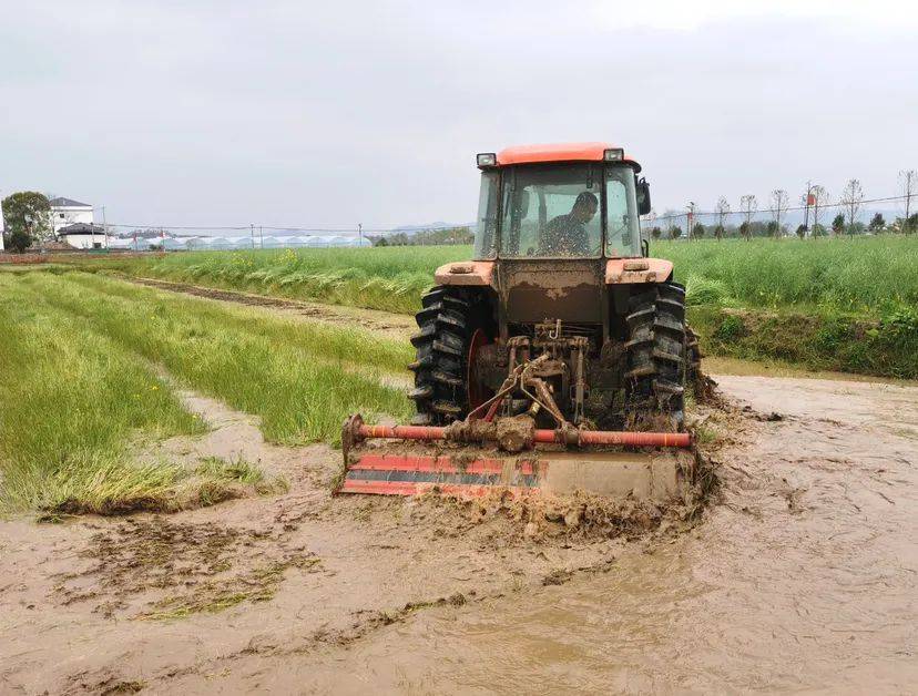 "徐保林表示,长胜镇15村共集中流转耕地1.
